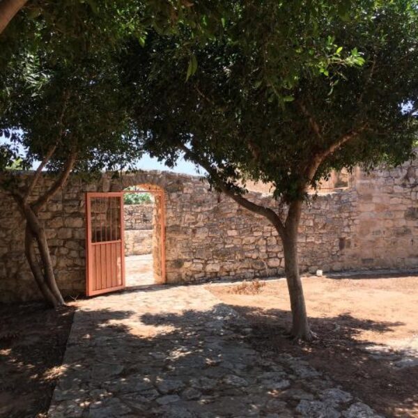 courtyard with stone wall, orange door and tree inside.