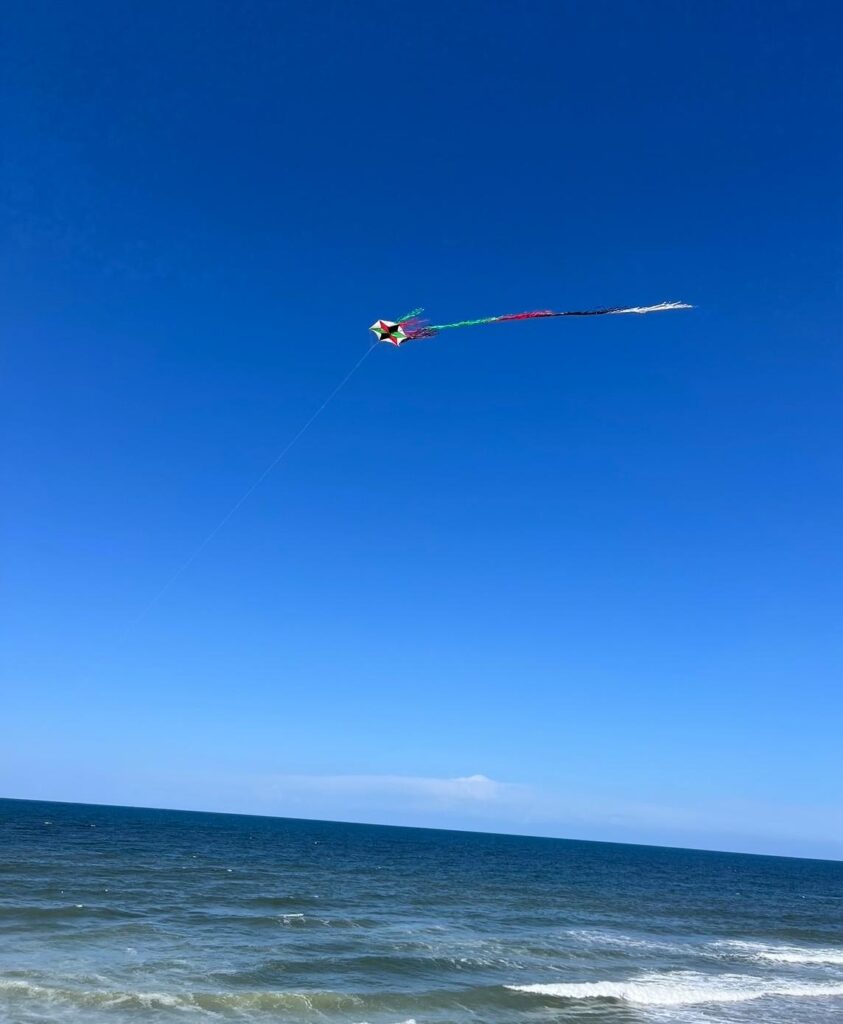 Kite with Palestine colors above the ocean.