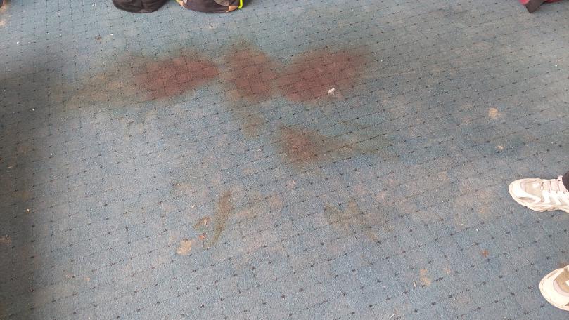 Blood on carpet.