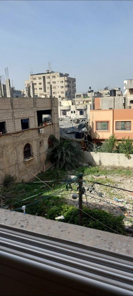 Ravaged garden in Gaza.