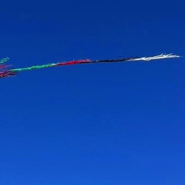 Kite in Palestinian colors.