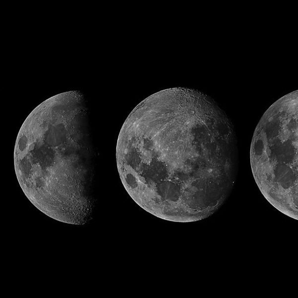 The four phases of the moon.