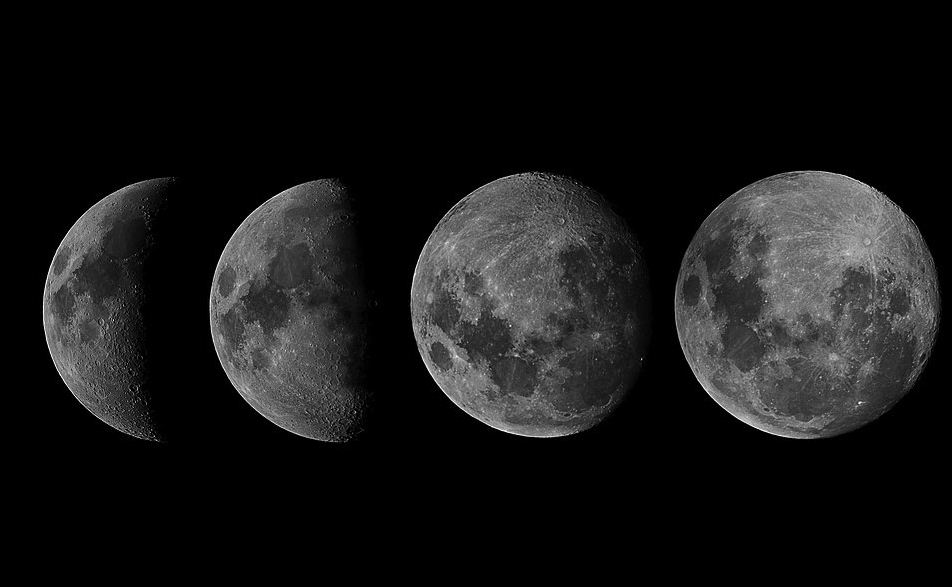 The four phases of the moon.