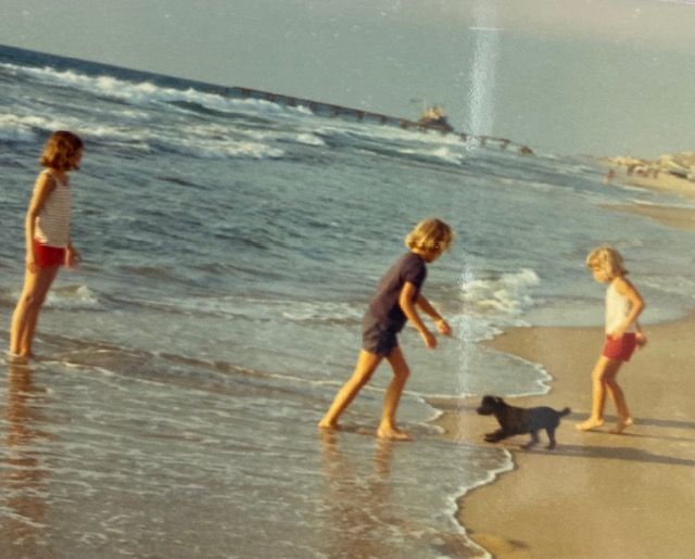 Caucasian children and dog playing on the beach in Gaza.