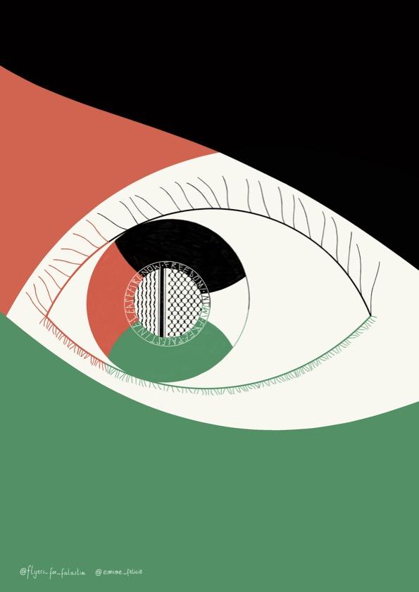 Close-up of an eye, with the eye and face in Palestinian colors.